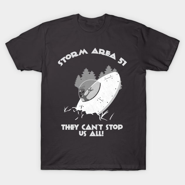 Storm area 51 T-Shirt by AshStore